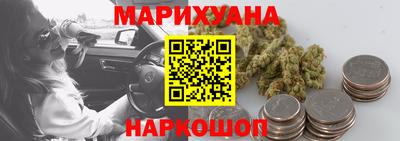 крисы Новодвинск