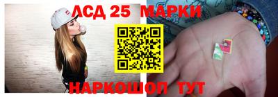 крисы Новодвинск