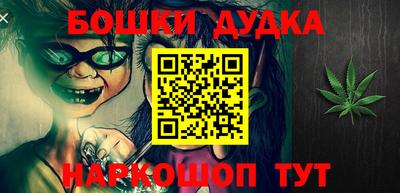 крисы Новодвинск
