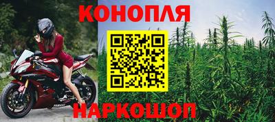 крисы Новодвинск