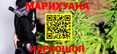 крисы Новодвинск